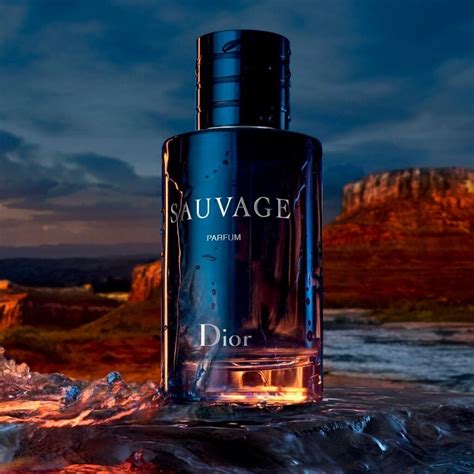 sauvage dior price dubai|how expensive is dior sauvage.